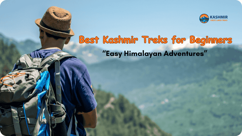 Best Kashmir Treks for Beginners