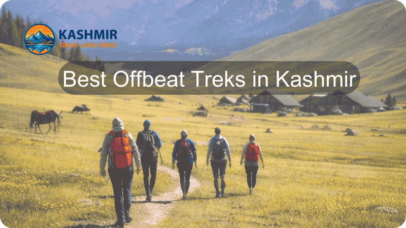 Trekkers walking through a lush green meadow in Kashmir with mountains in the background