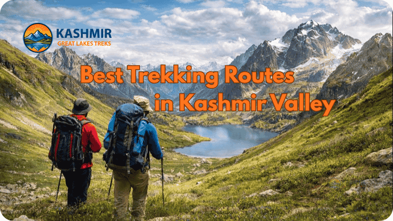kashmir trek